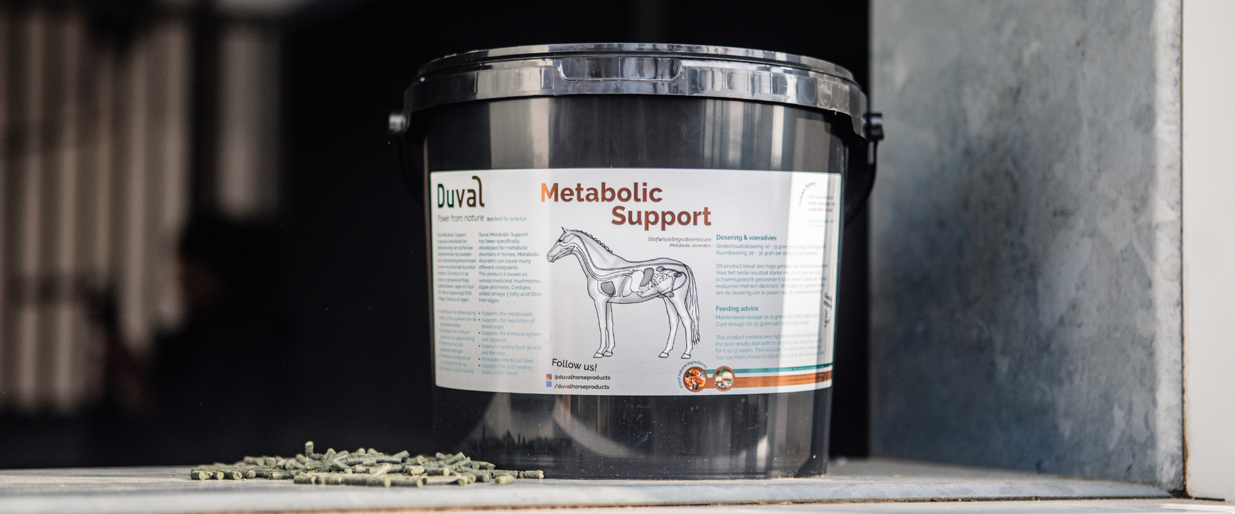 Stofwisselingsstoornissen bij paarden