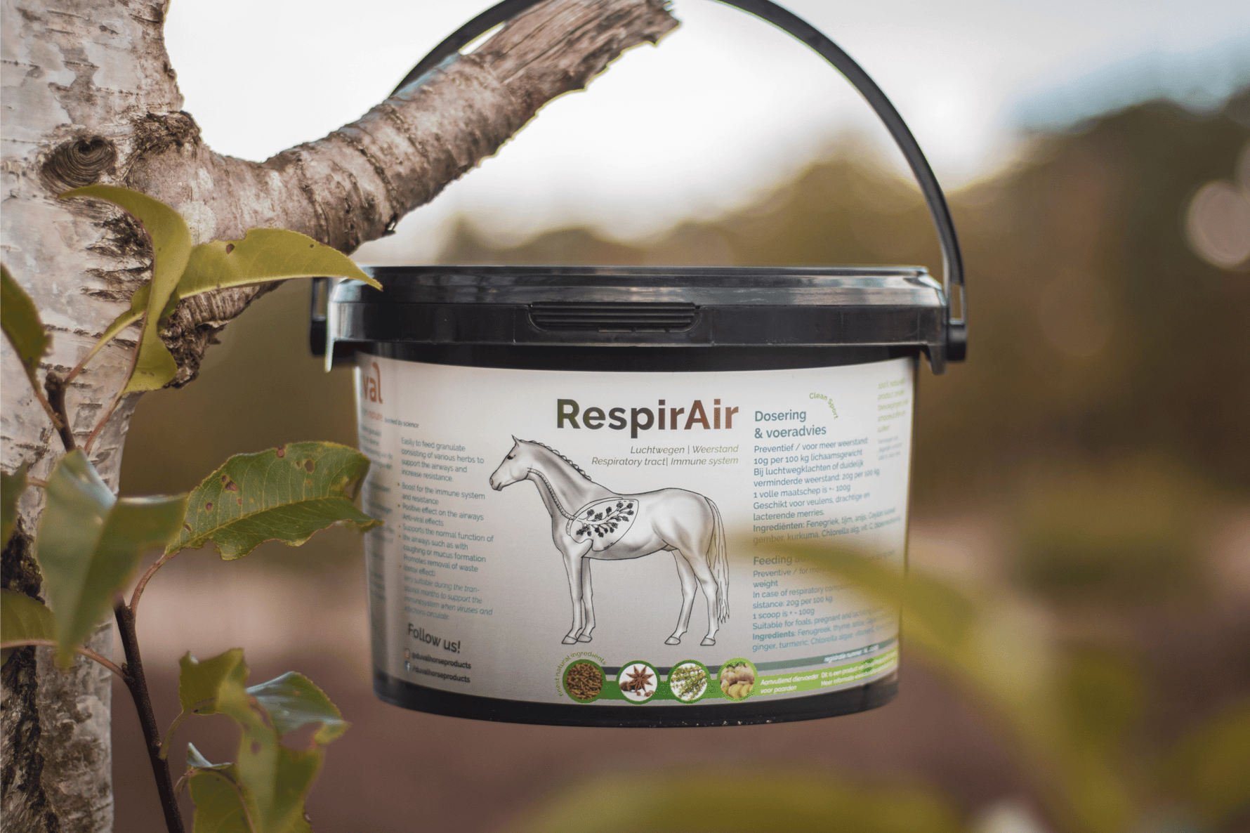 Ontwerp zonder titel (21)