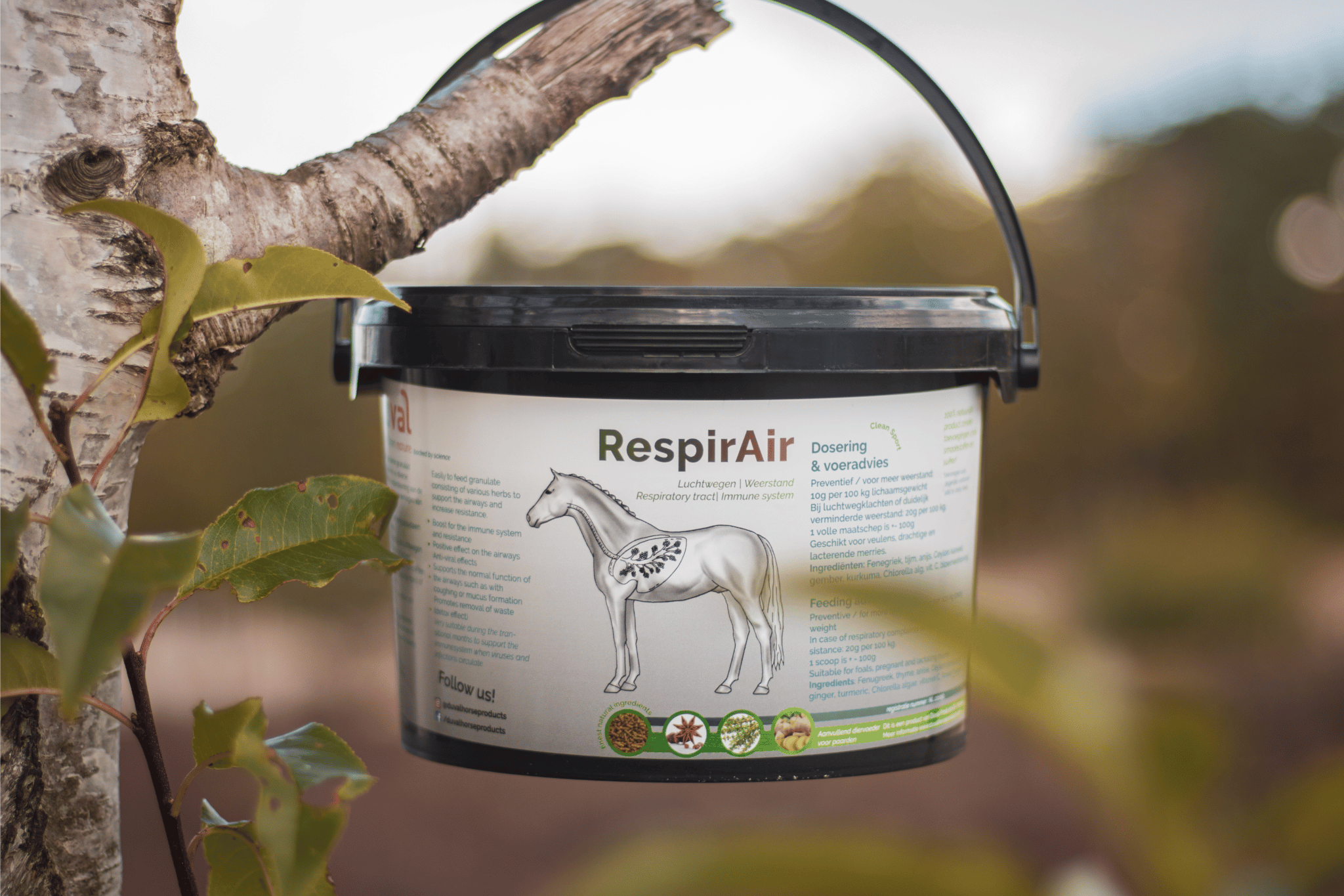 Ontwerp zonder titel (21)