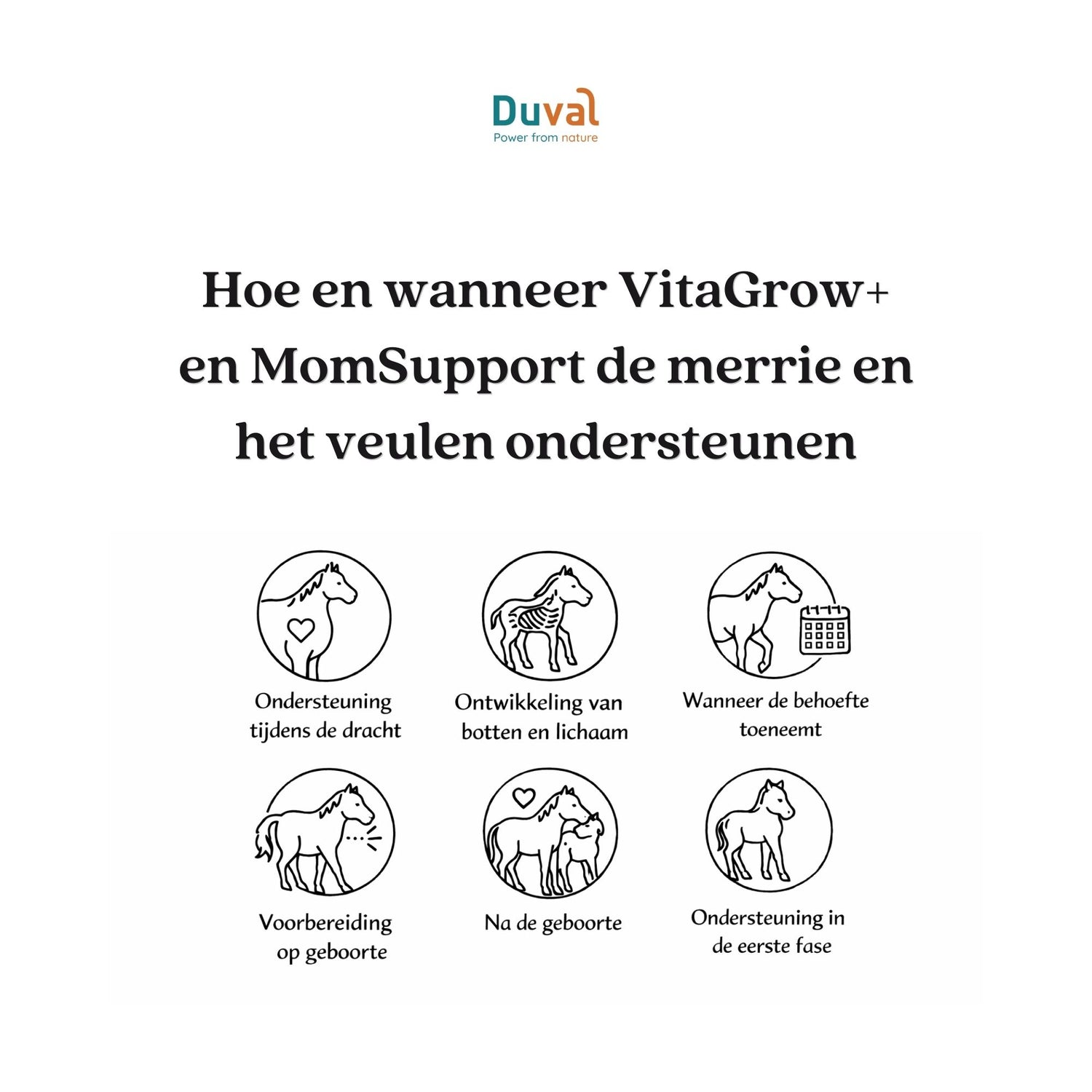 Pakket dracht & opfok (10% korting wordt verrekend in winkelwagen!)