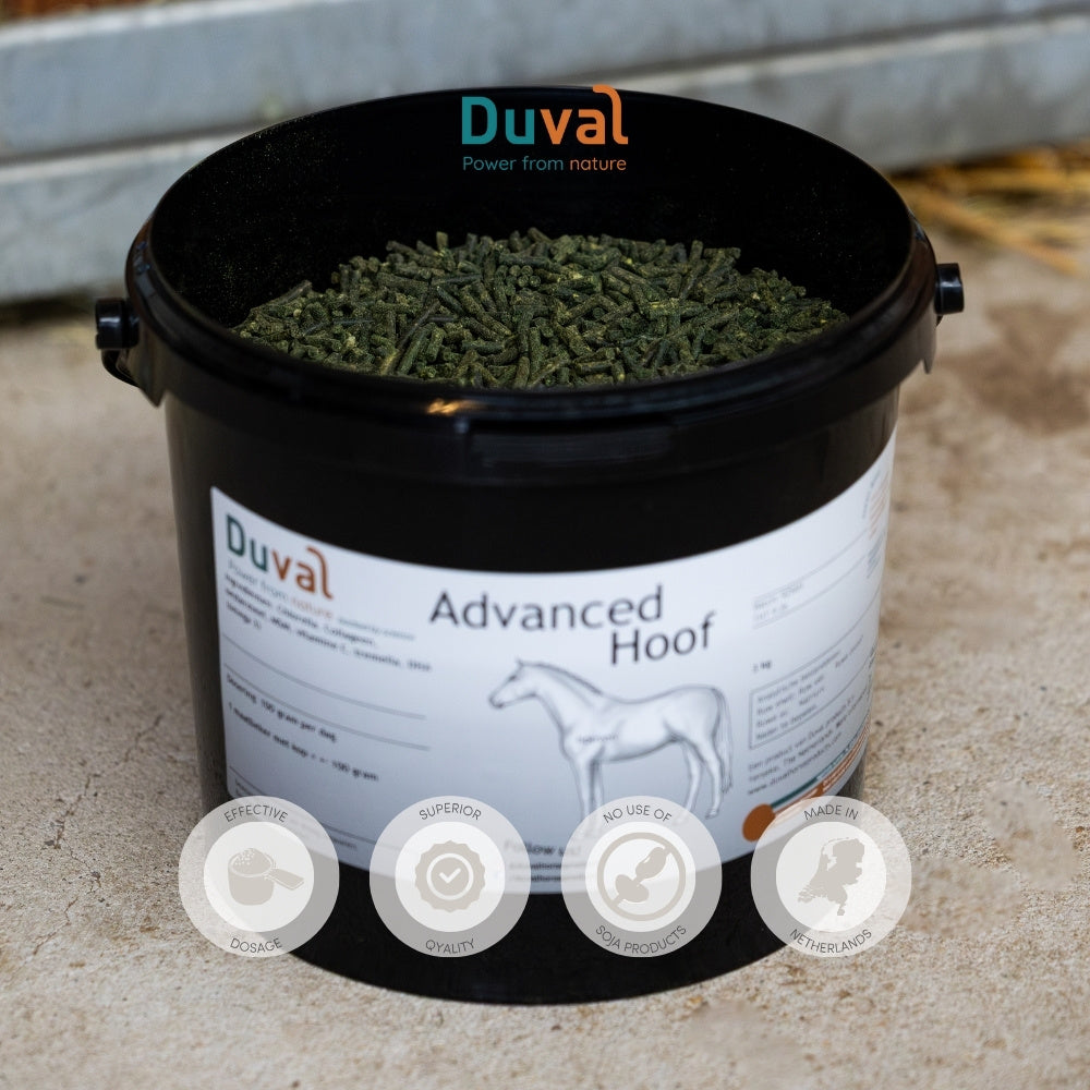 Advanced Hoof