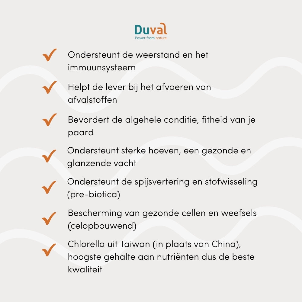 USP’s Duval Chlorella – zuivere microalg rijk aan chlorofyl, plantaardig eiwit en natuurlijke ondersteuning voor paarden.