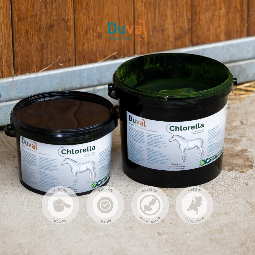 Duval Chlorella emmer met kwaliteitsiconen – pure Pyrenoidosa-chlorella met hoge voedingswaarde en premium kwaliteitsstandaarden.