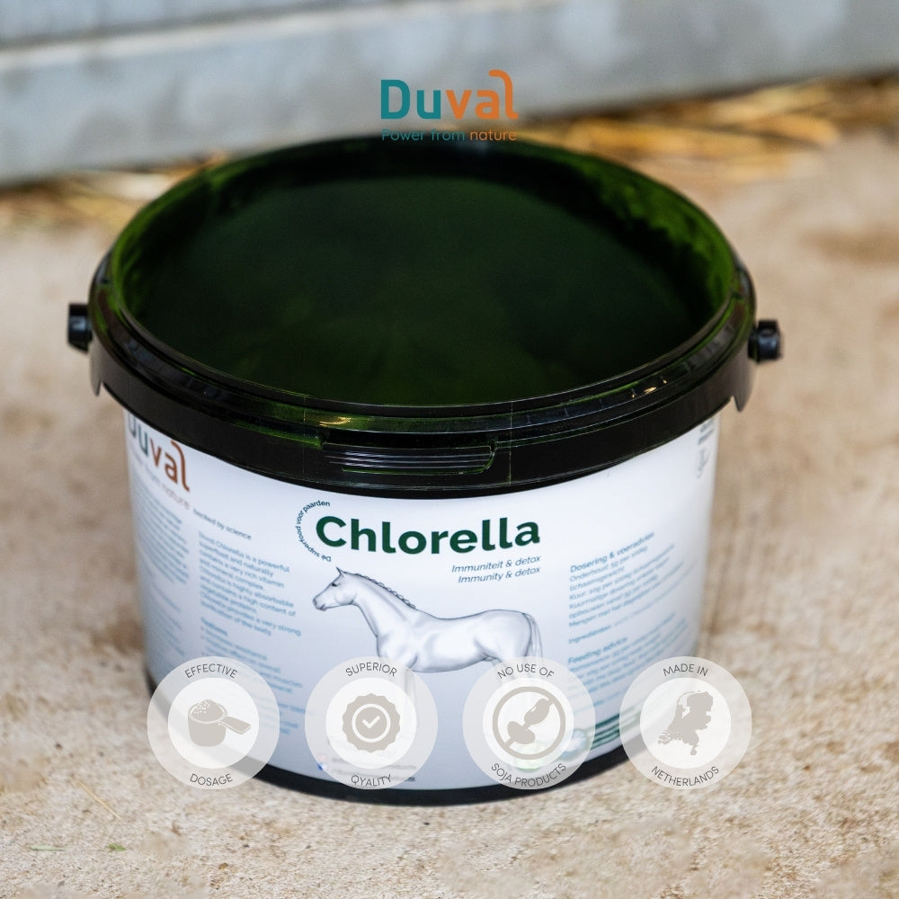 Duval Chlorella emmer met kwaliteitsiconen – pure Pyrenoidosa-chlorella met hoge voedingswaarde en premium kwaliteitsstandaarden.