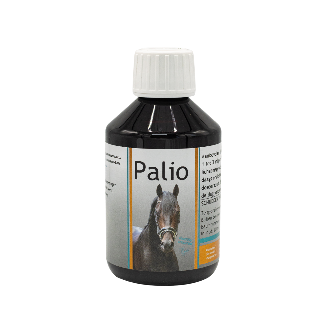 Palio