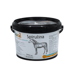 Duval Spirulina emmer – hoogwaardige spirulina voor paarden, rijk aan eiwitten, aminozuren en chlorofyl.